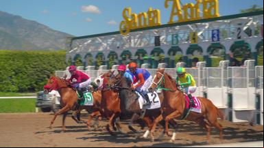 Race for the Crown 1x1