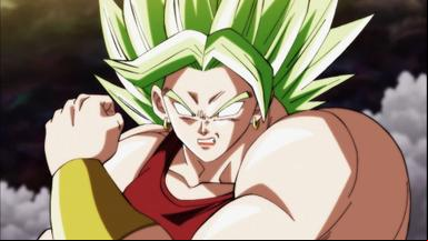 Dragon Ball Super 1x100