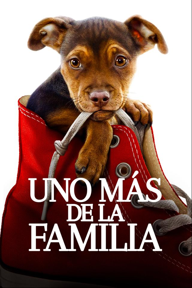 Mis Huellas a Casa