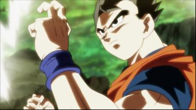 Dragon Ball Super 1x120